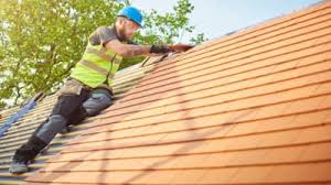 Best Asphalt Shingle Roofing  in Long Beach, IN