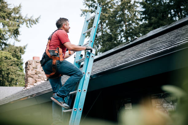 Best Metal Roofing Installation  in Long Beach, IN